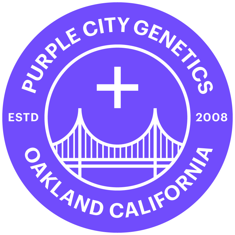 https://www.plantasur.com/sites/default/archivos/productos/l_purple_city_genetics.jpg